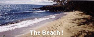 view of beach @ Maalaea Maui